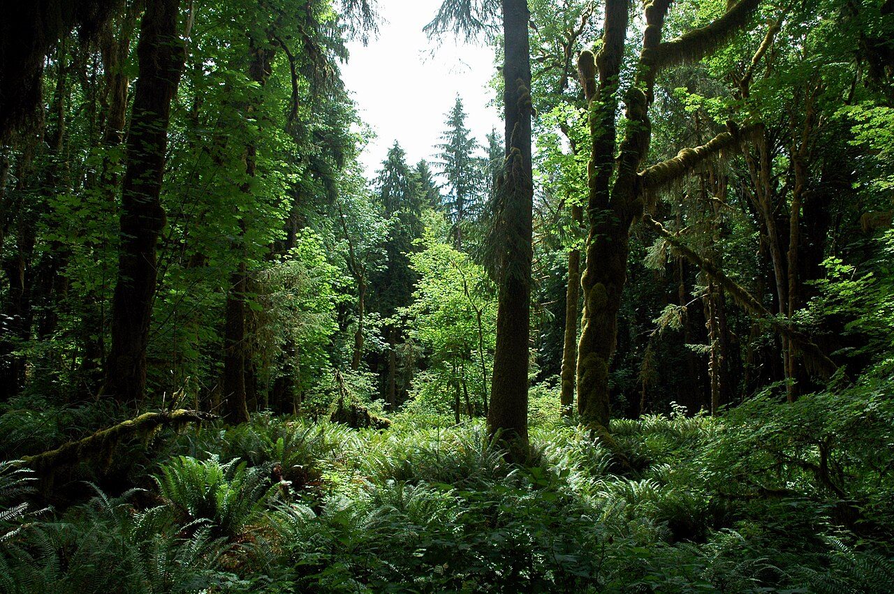 Olympic National Park