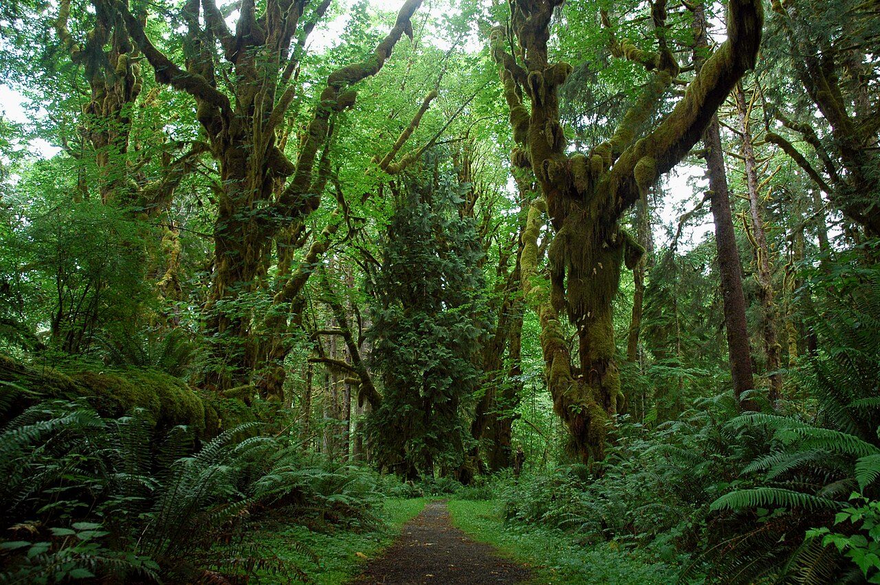 Olympic National Park