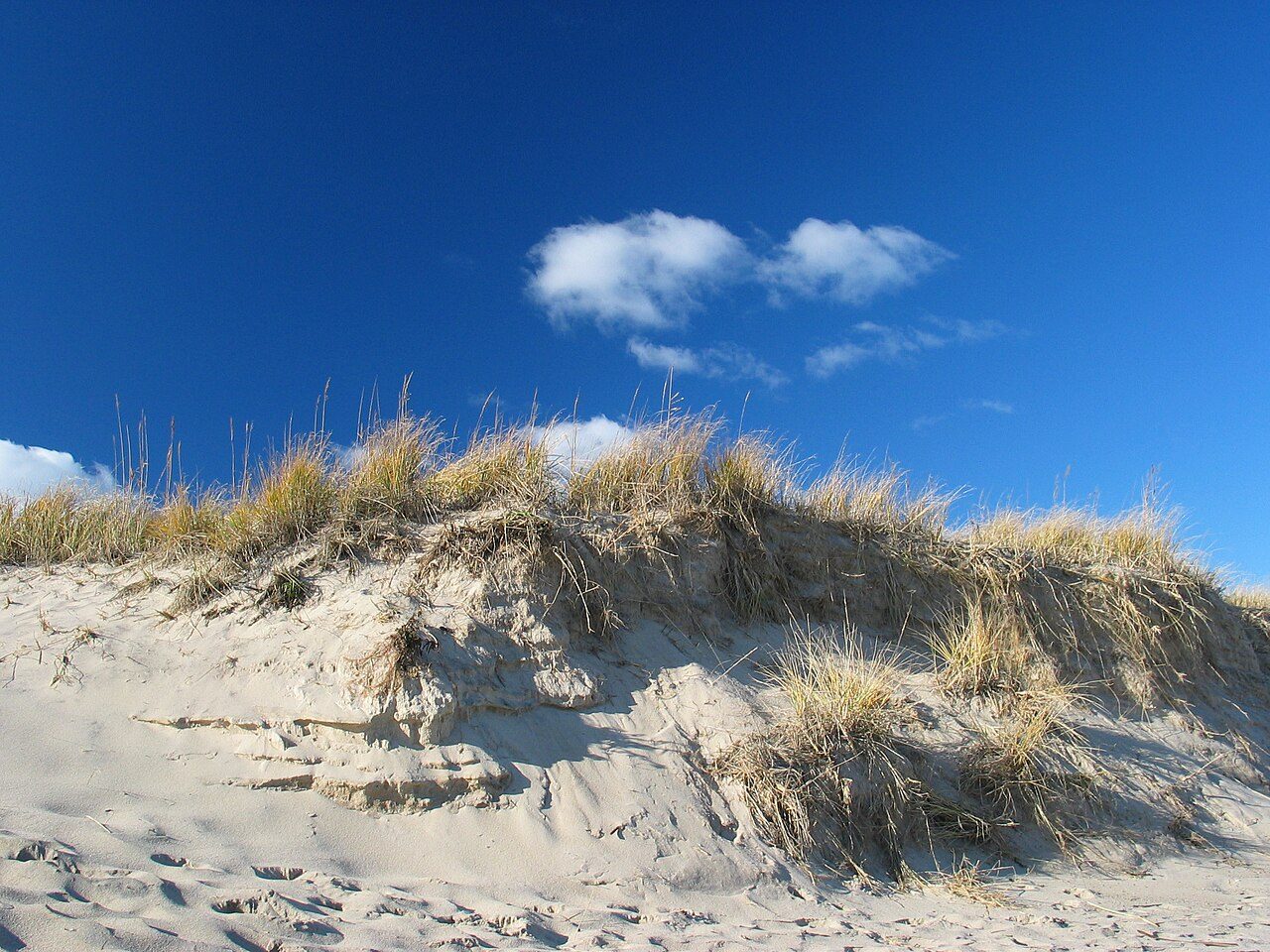 Cape Cod National Seashore