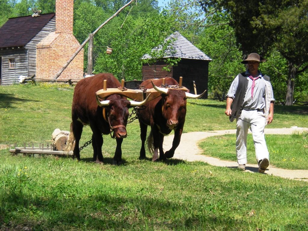 Colonial Williamsburg