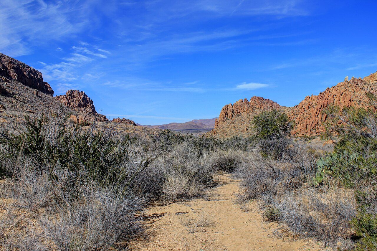 Big Bend National Park