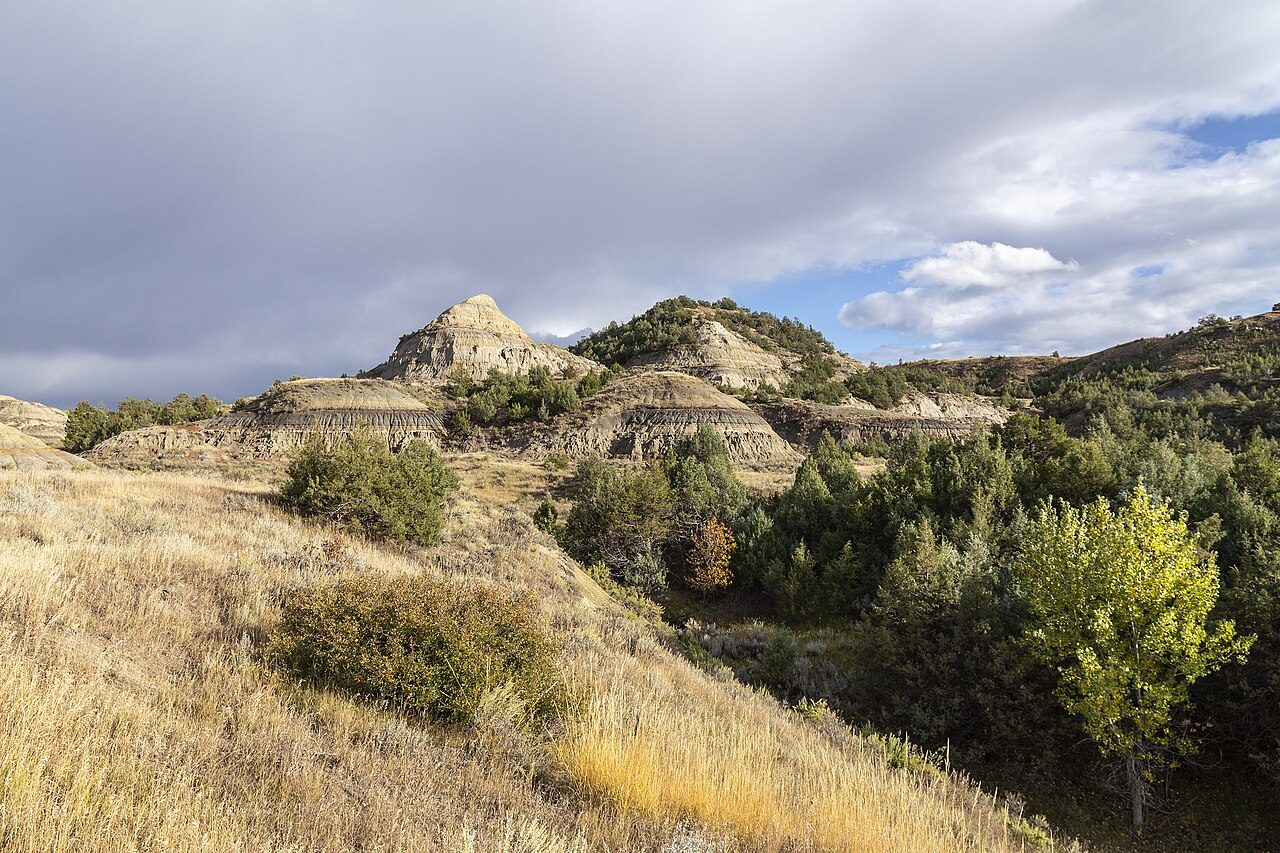 Theodore Roosevelt National Park