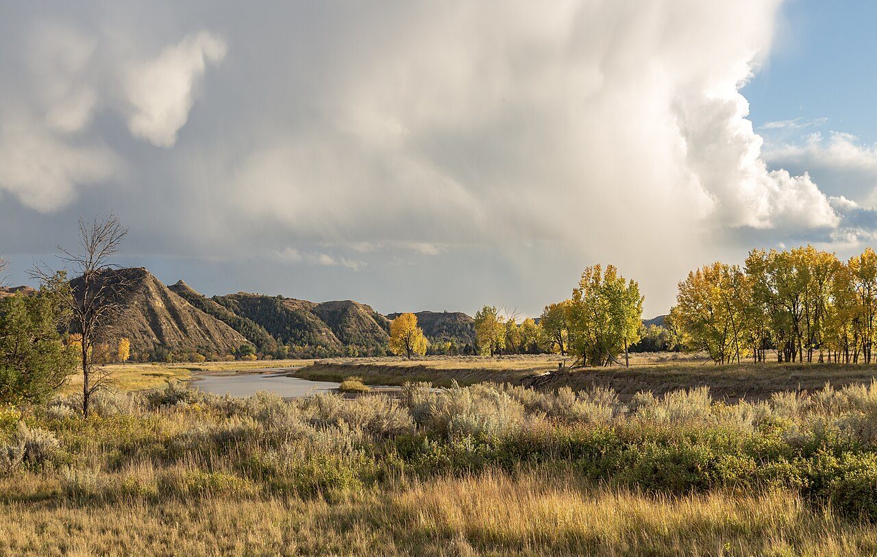 Theodore Roosevelt National Park
