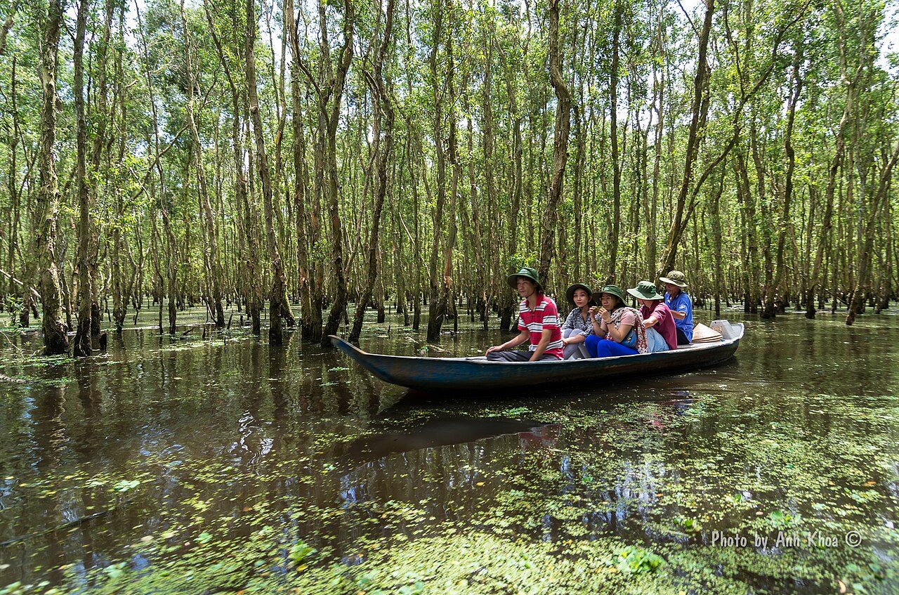 Tra Su Cajuput Forest