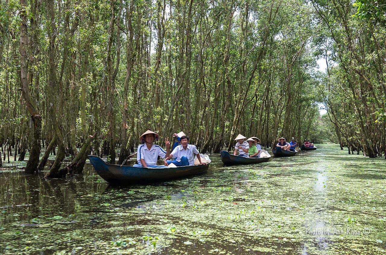 Tra Su Cajuput Forest