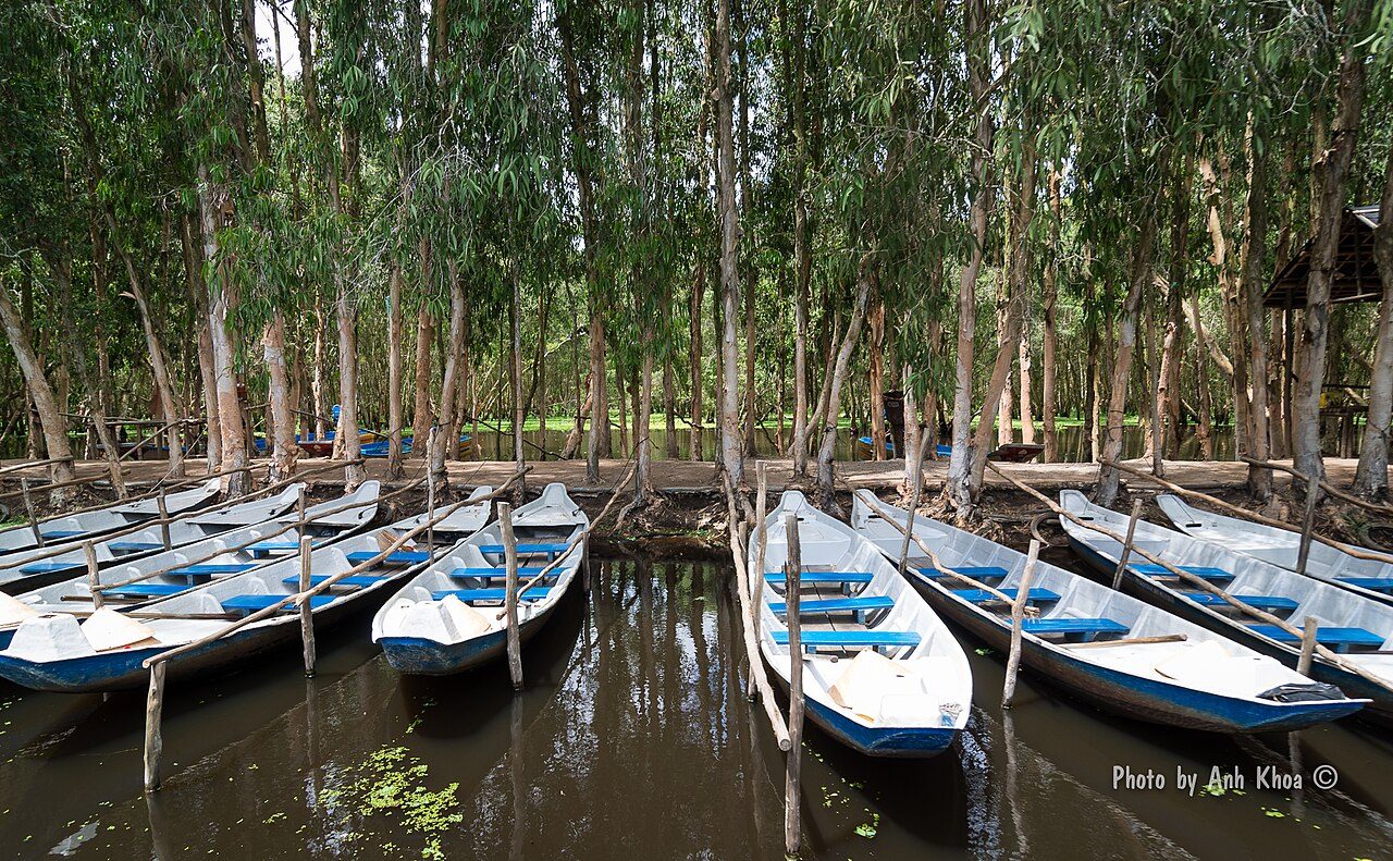 Tra Su Cajuput Forest