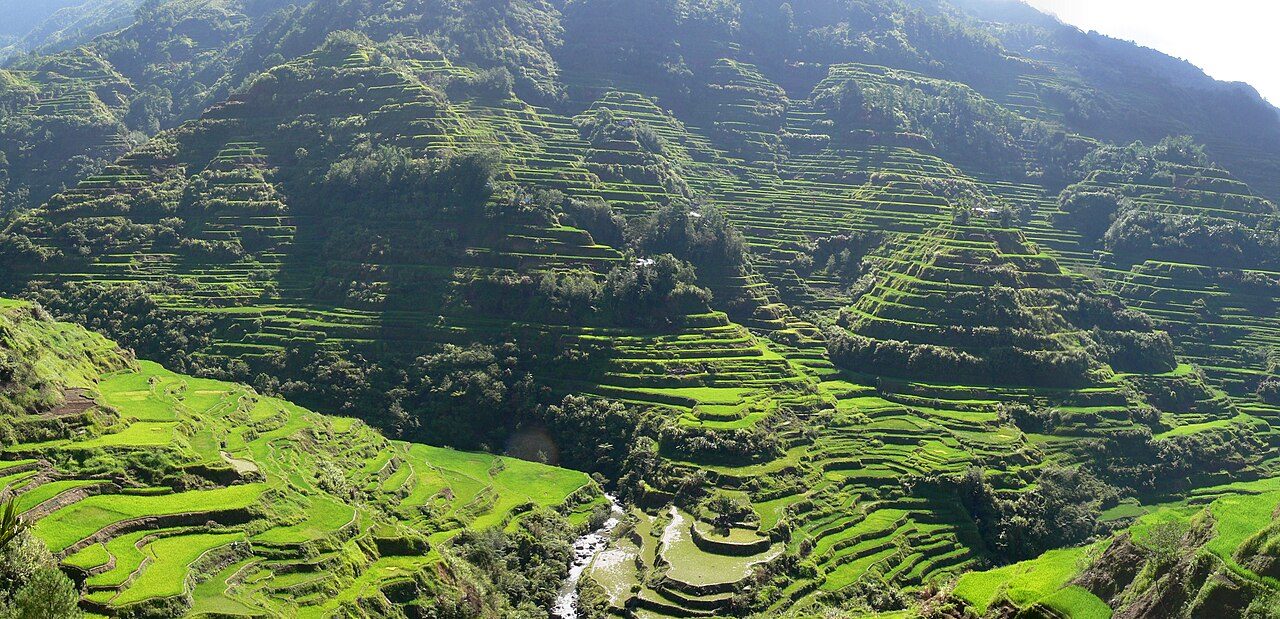 Banaue Rice Terraces