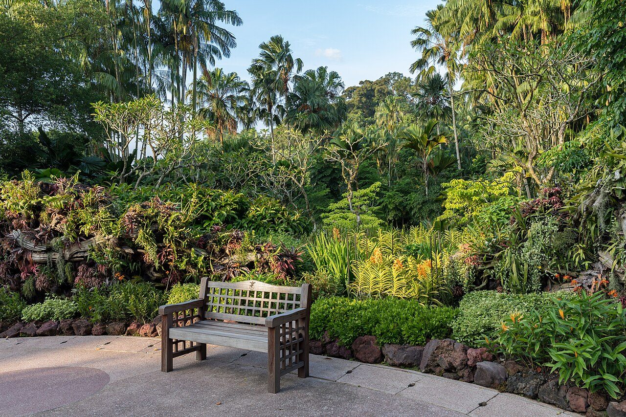 Singapore Botanic Gardens