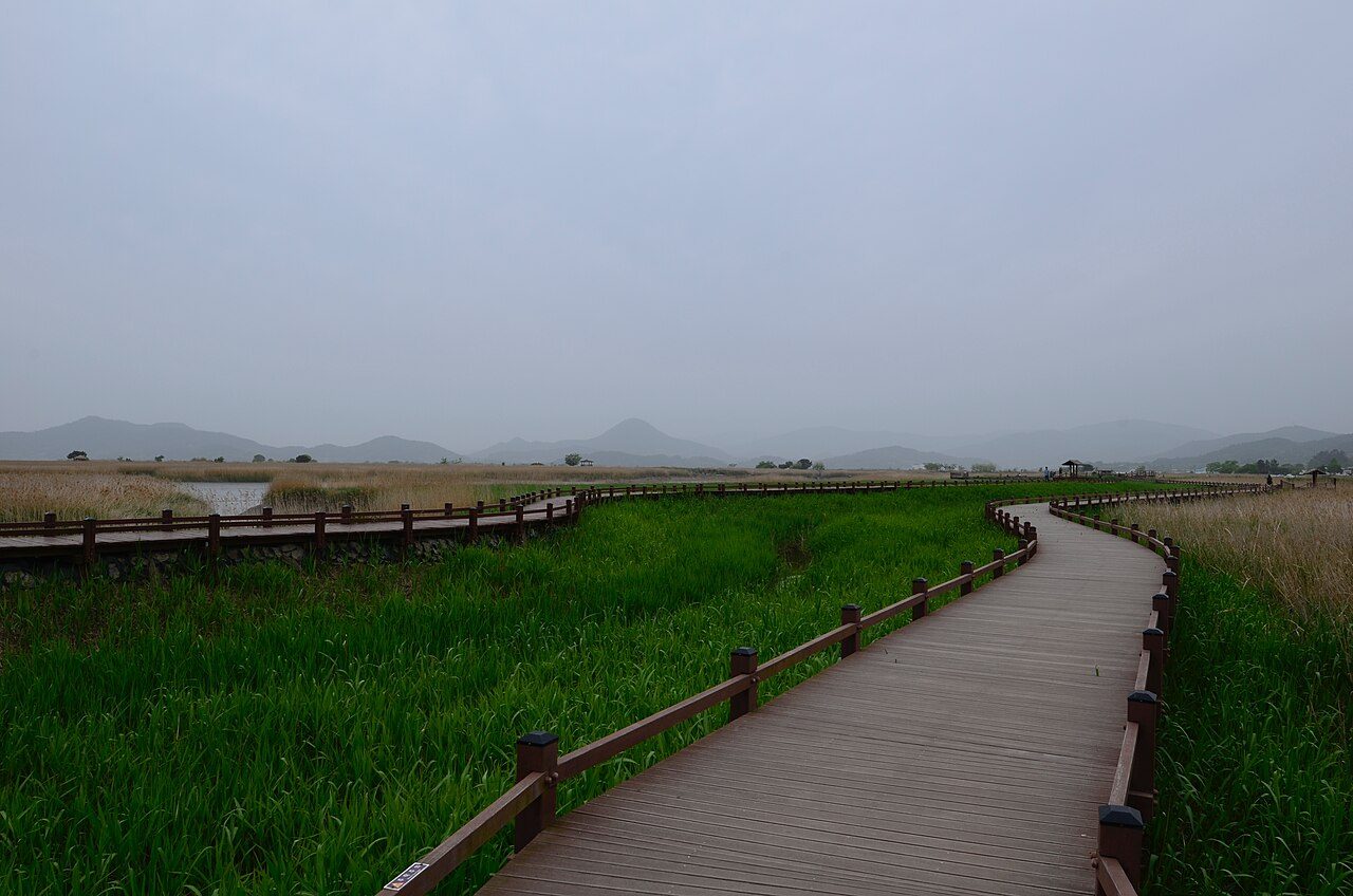 Suncheon Bay Wetland