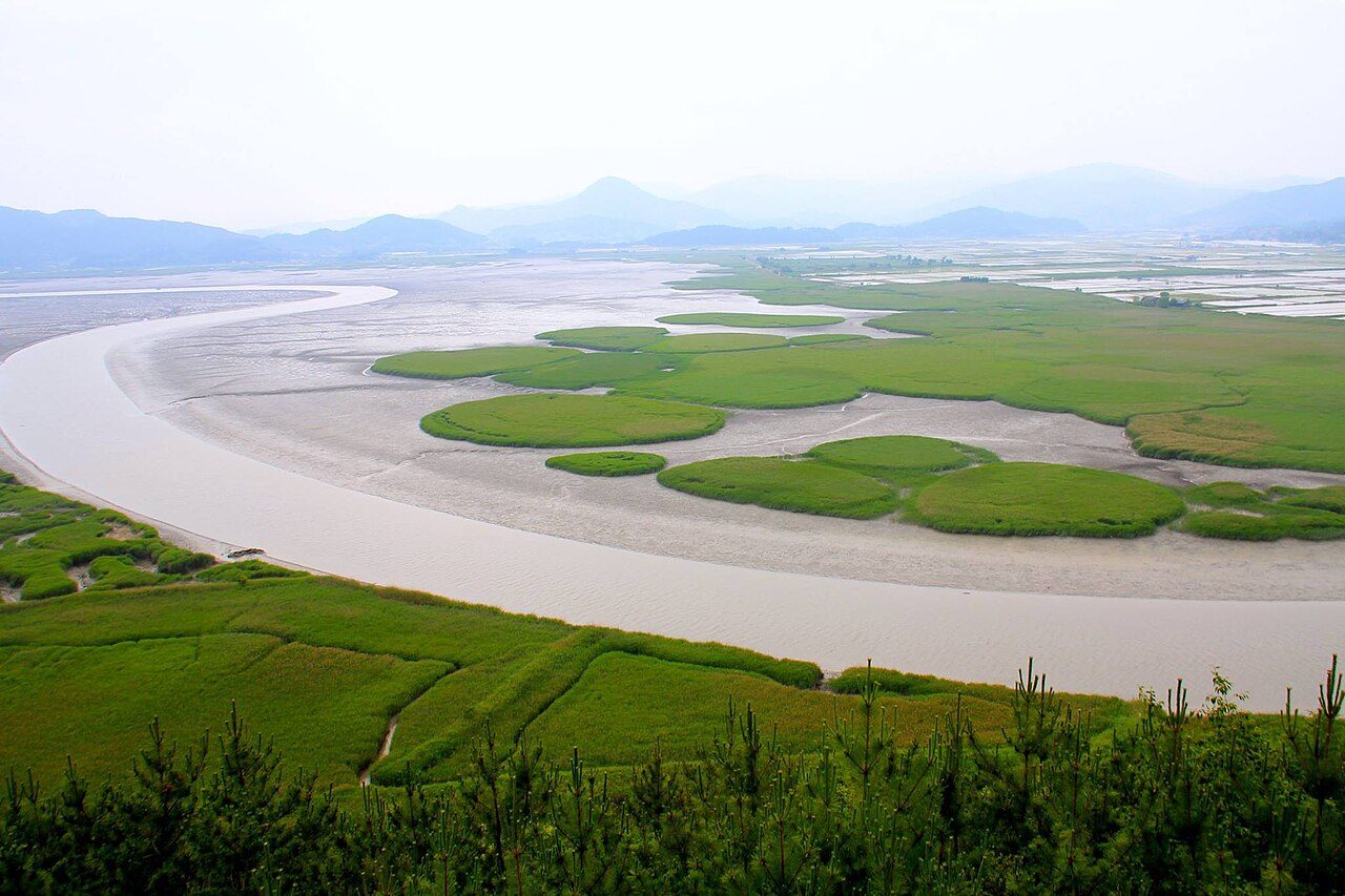 Suncheon Bay Wetland