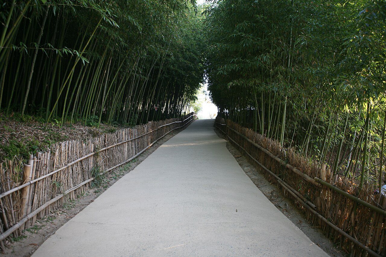 Juknokwon Bamboo Garden