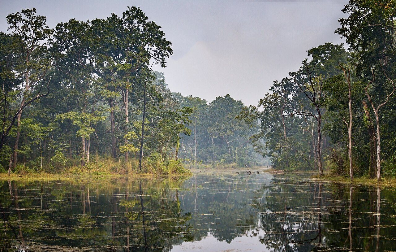 Chitwan National Park Sauraha