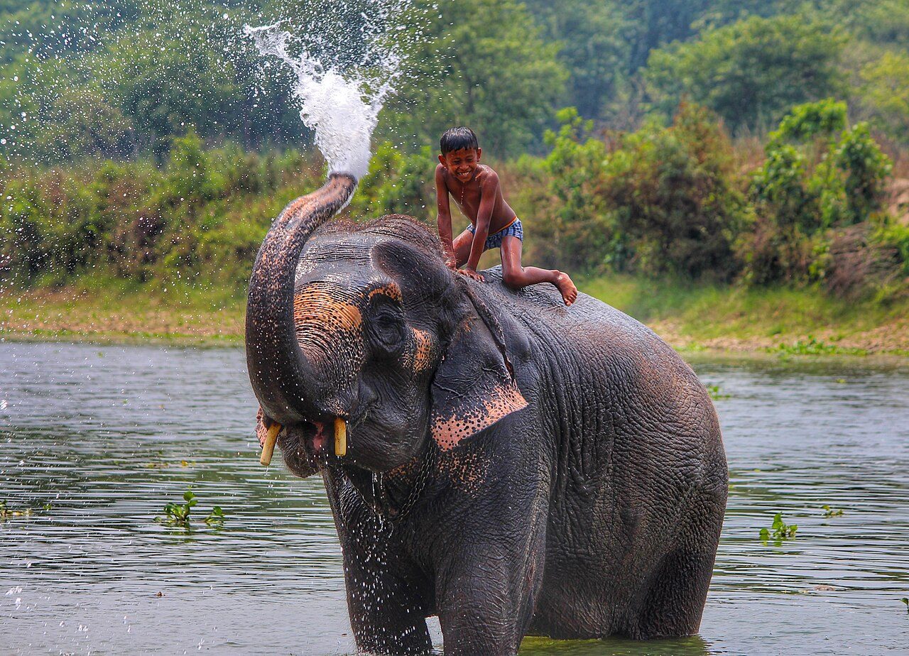 Chitwan National Park Sauraha