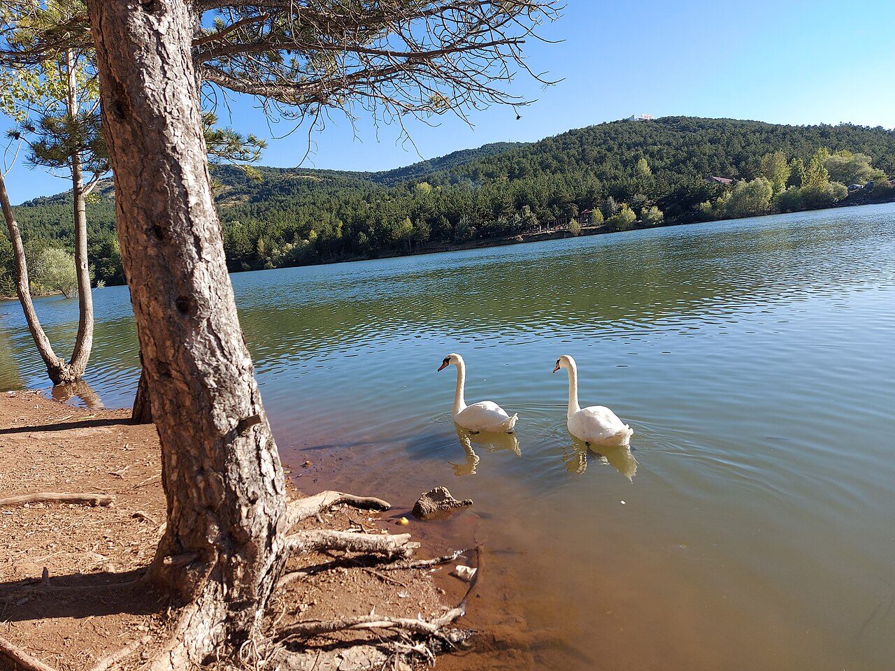 Yozgat Çamlık National Park