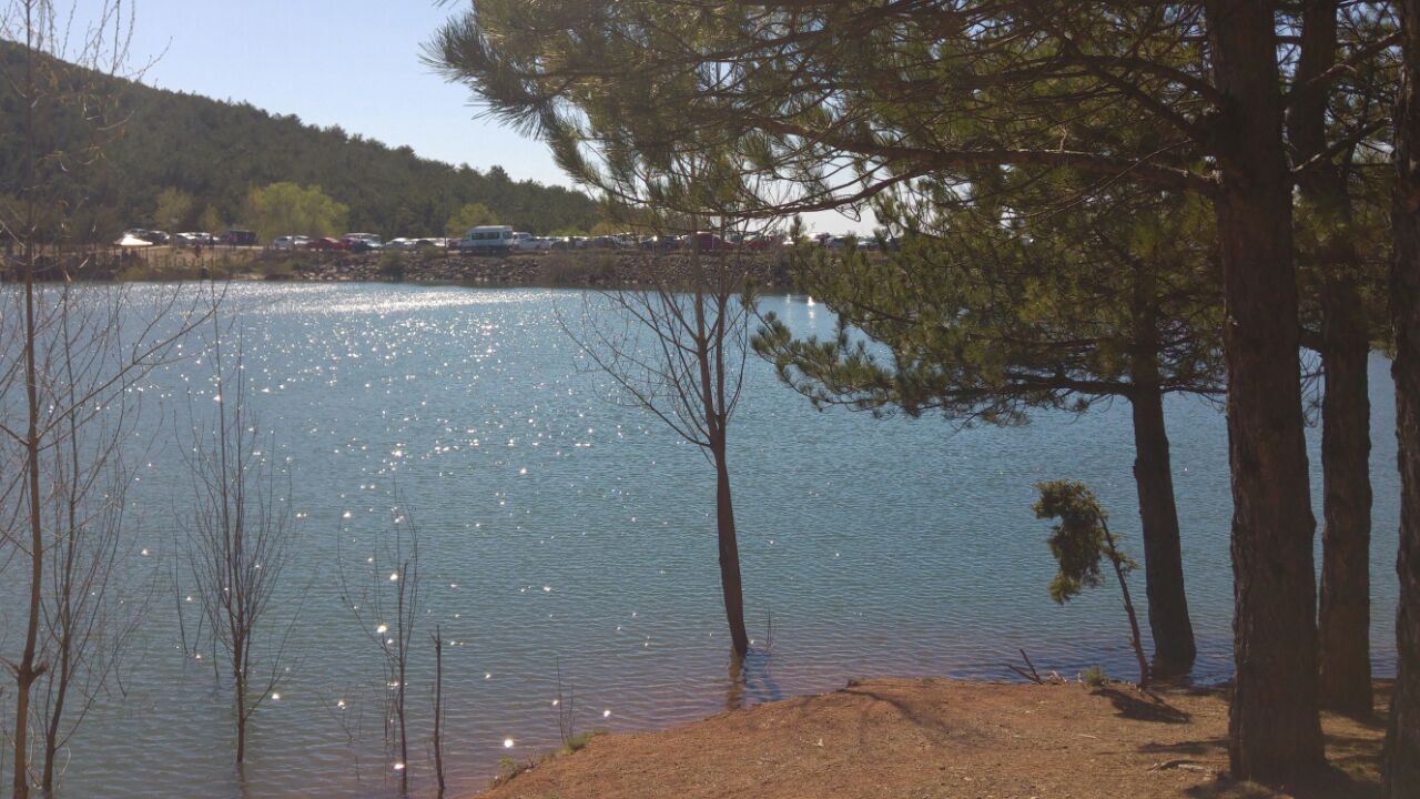 A pond in Yozgat Pine Grove National Park.