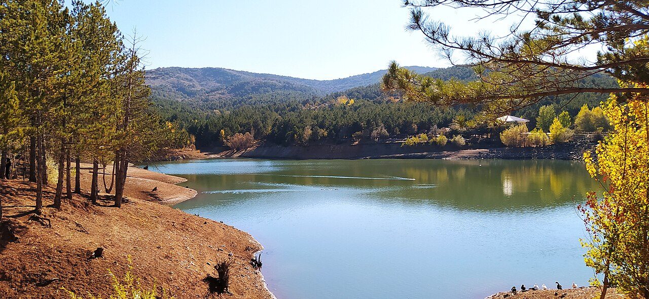 Yozgat Çamlık.