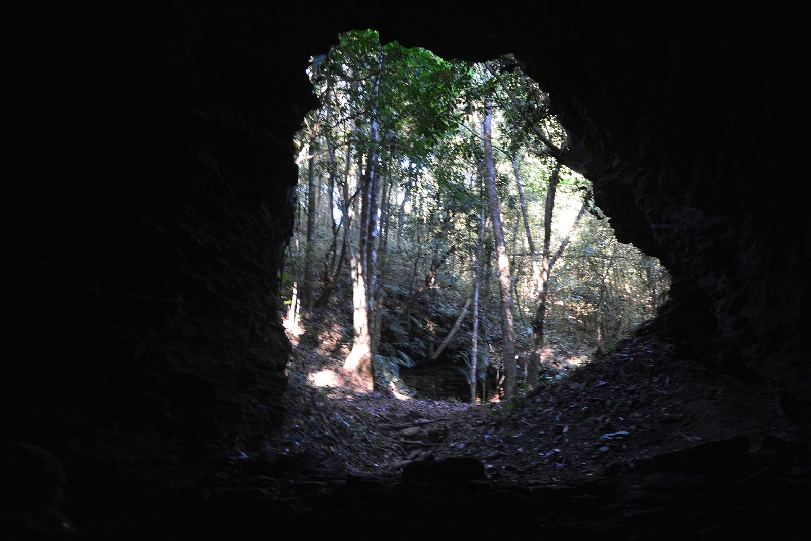 Tharon Caves