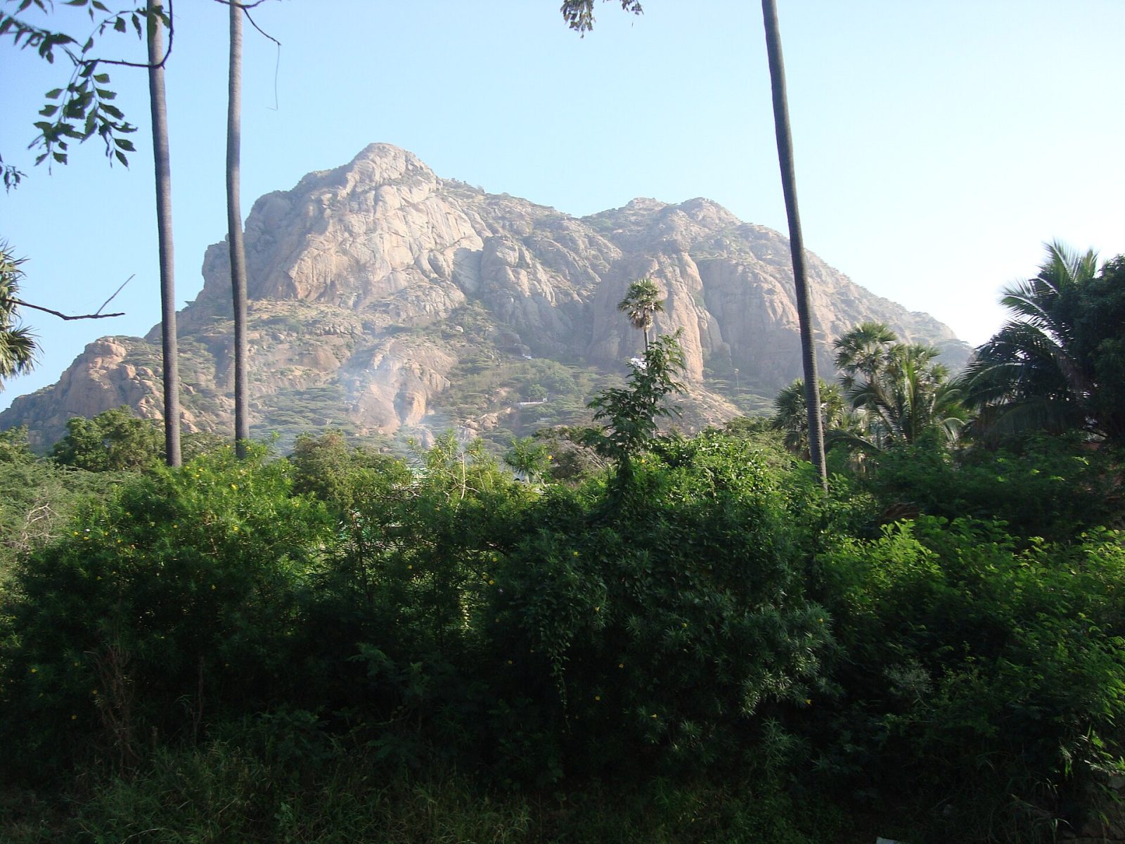 Maruthuvazhmalai